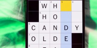 NYT Mini Crossword Daily Solutions: 17 листопада