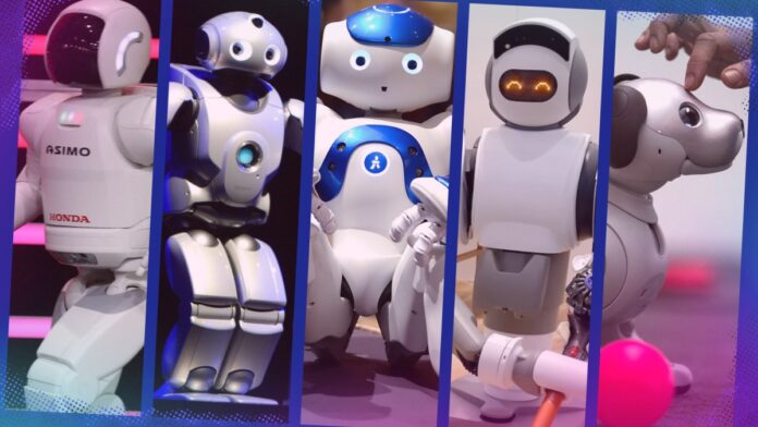 5db9291f-f6a8-410f-ba09-e4d19b75a58e