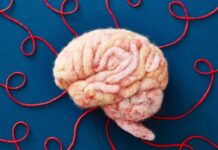 Ваш мозок не показує вам реальність: чому сприйняття є конструктом