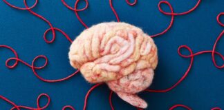 Ваш мозок не показує вам реальність: чому сприйняття є конструктом