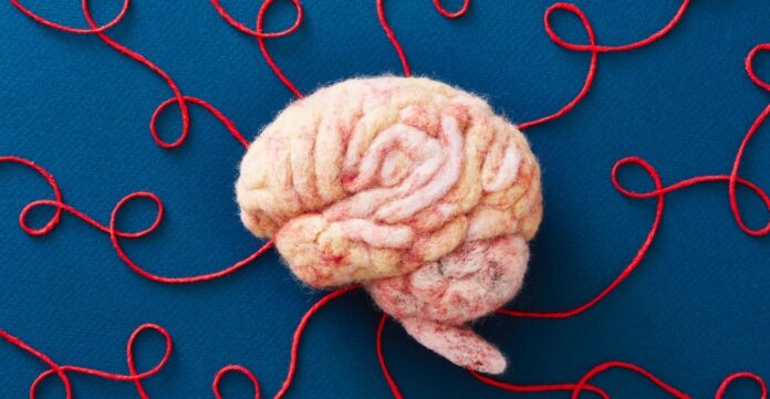 c11a57b1-3c1d-40de-91b3-70e132285e90