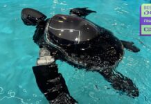 RoboTurtle: Біомімікрія та моніторинг підводного середовища