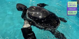 RoboTurtle: Біомімікрія та моніторинг підводного середовища