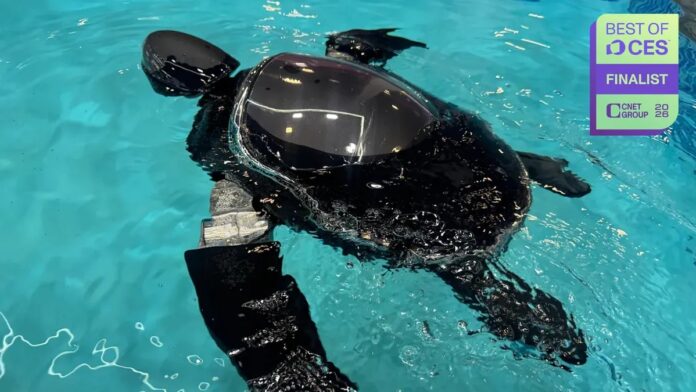 bdfd3d4c-dc2e-4458-b427-d288e7c24f28