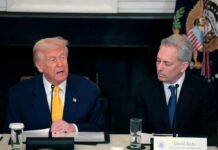 Trump Administration Proposes Centralized AI Policy, Prioritizing Growth Over State Regulation