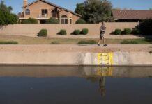 Im Westen der USA droht aufgrund der Schneedürre frühzeitig Waldbrandgefahr