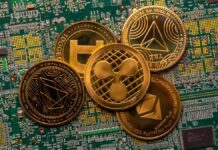 Звіт ФБР: Криптовалютні махінації та шахрайство проти людей похилого віку приносять 21 мільярд доларів щорічних втрат від кіберзлочинності