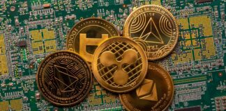 Rapporto dell’FBI: truffe crittografiche e frodi di alto livello generano 21 miliardi di dollari in perdite informatiche annuali