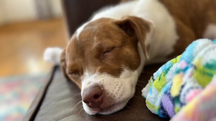 a1598c73-8f11-40e0-b817-df5c7ff278fa