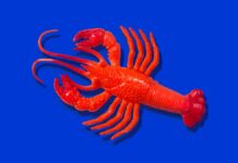 Anthropic to Charge Extra for Third-Party Claude Code Tools