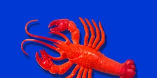 Anthropic to Charge Extra for Third-Party Claude Code Tools