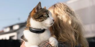 Tractive запускає розумні нашийники для моніторингу здоров’я та життєво важливих показників вихованців