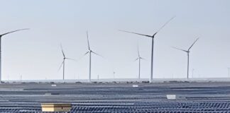 L’Egypte parie gros sur les pôles d’IA verte